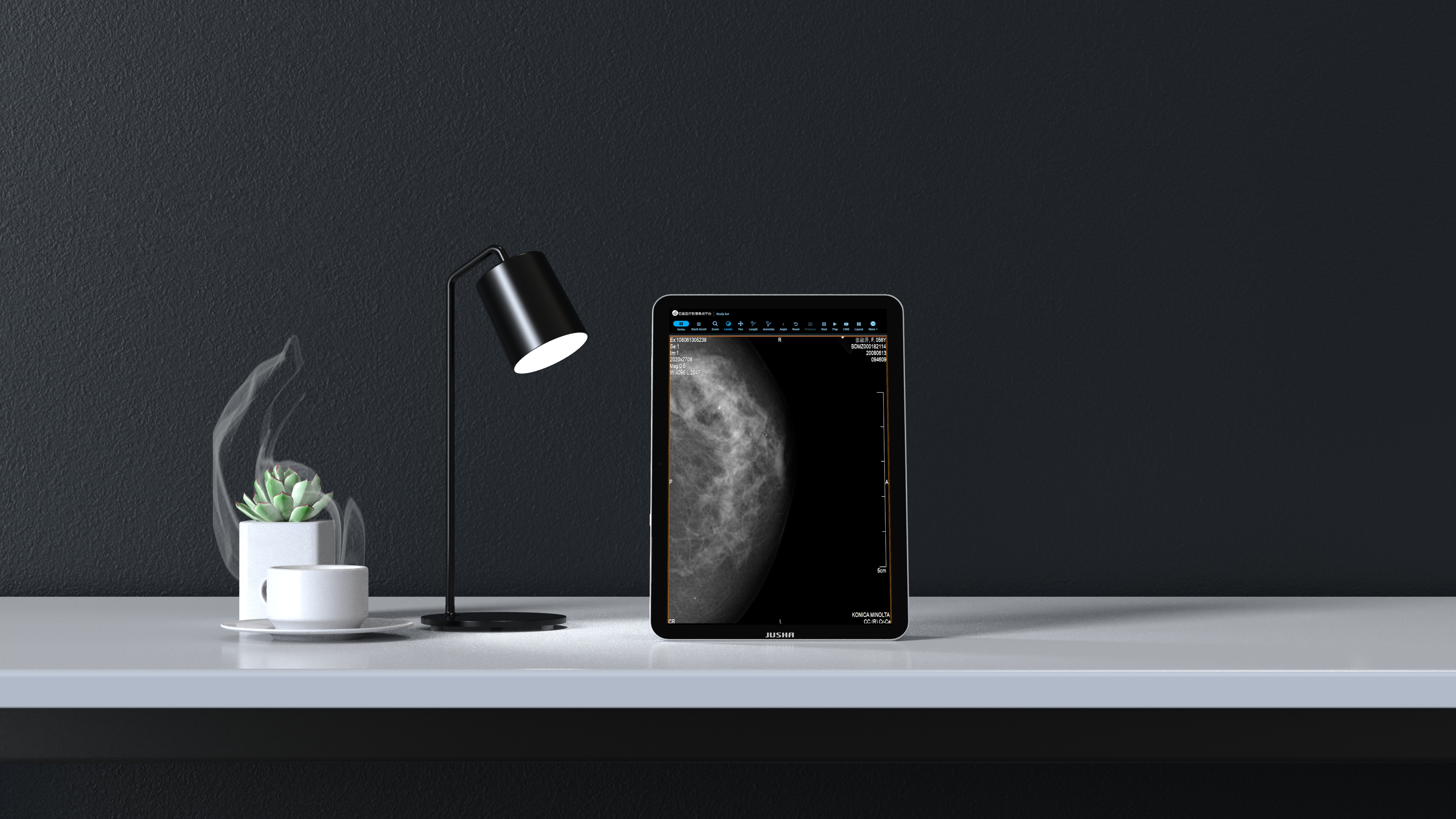 Medical Display Solution