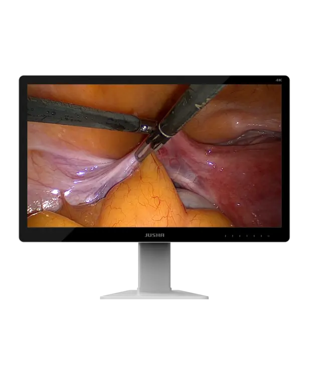 Monitor E320A