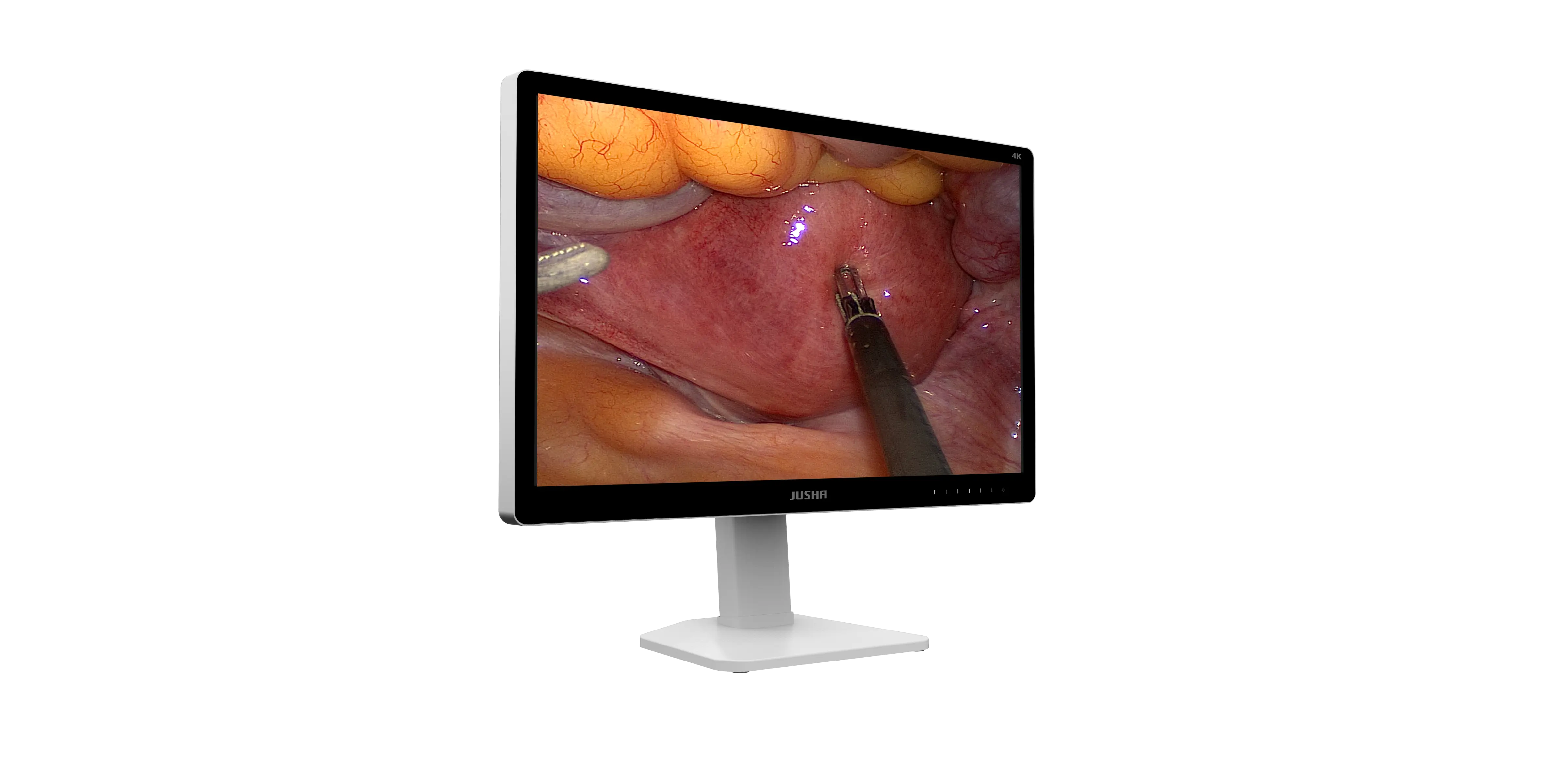 Chirurgický monitor E320A